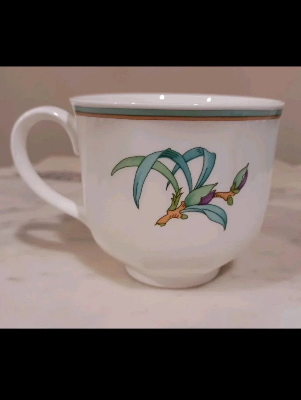 Heinrich Villeroy & Boch 8-PC Amazona Tea Cup & Saucer Set